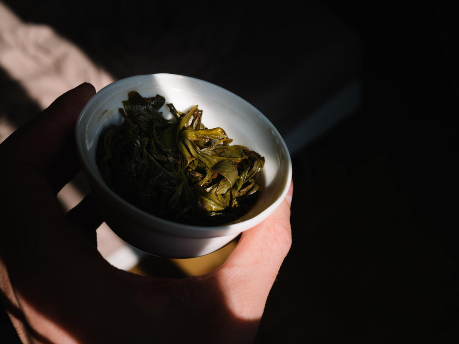 Bio Premium Houjicha Loser blatt Tee in weisser Teetasse mit Sonnenlicht - Organic premium Houjicha Tea in white teacup with sunlight